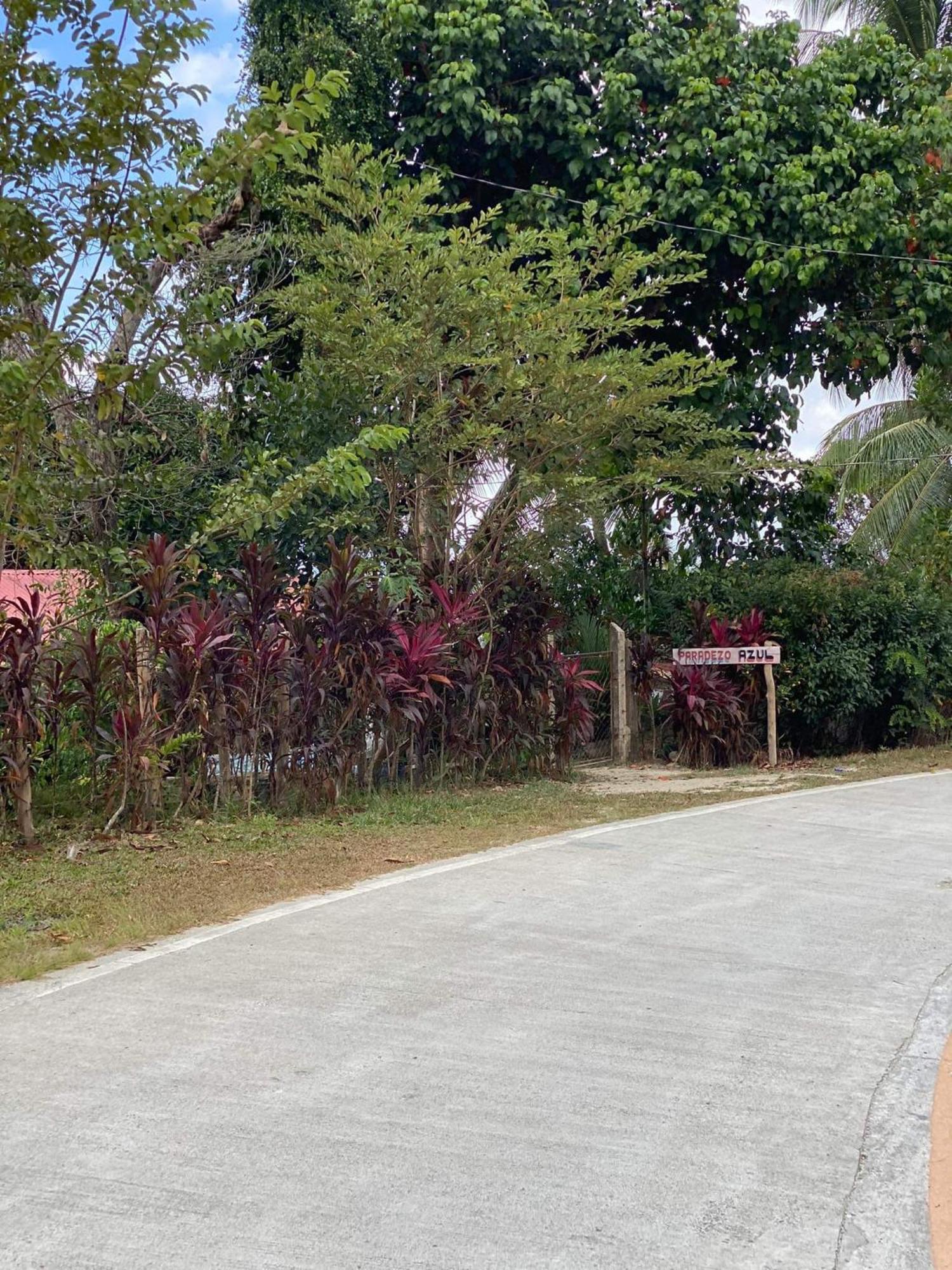 Port Barton - Paradiso Azul Campsite Beachfront With Internet San Vicente  Exterior foto