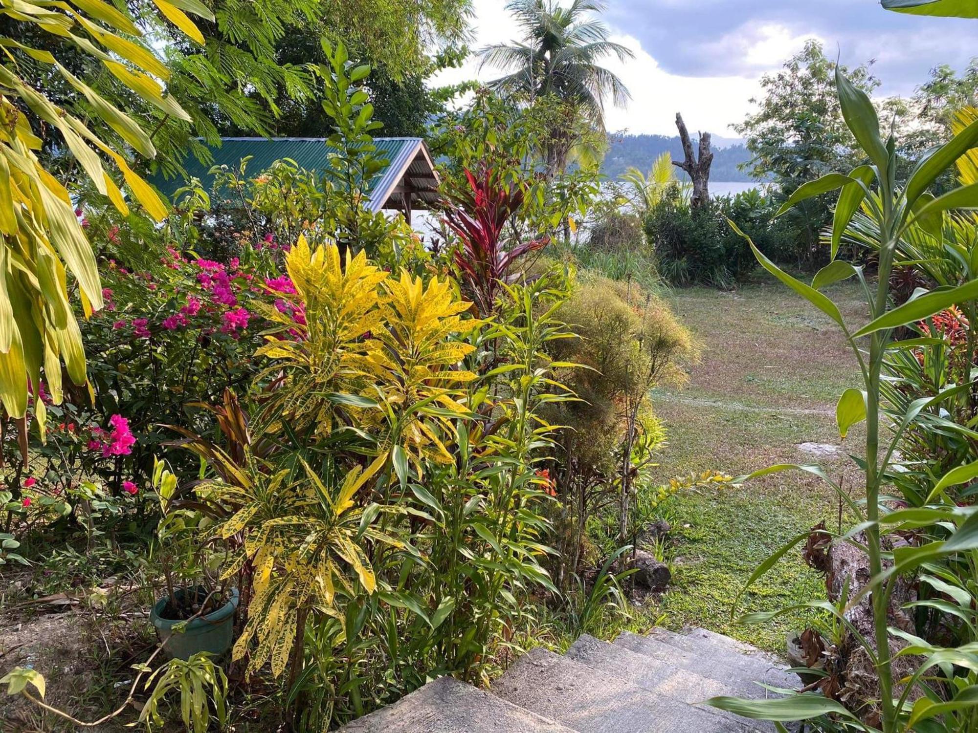 Port Barton - Paradiso Azul Campsite Beachfront With Internet San Vicente  Exterior foto