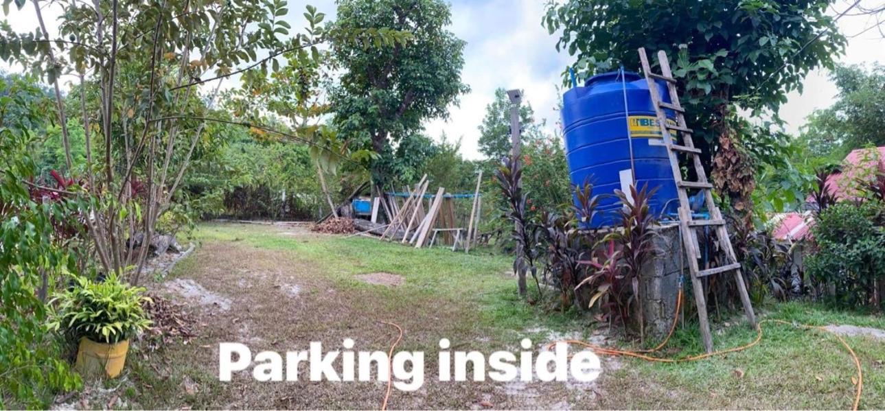 Port Barton - Paradiso Azul Campsite Beachfront With Internet San Vicente  Exterior foto