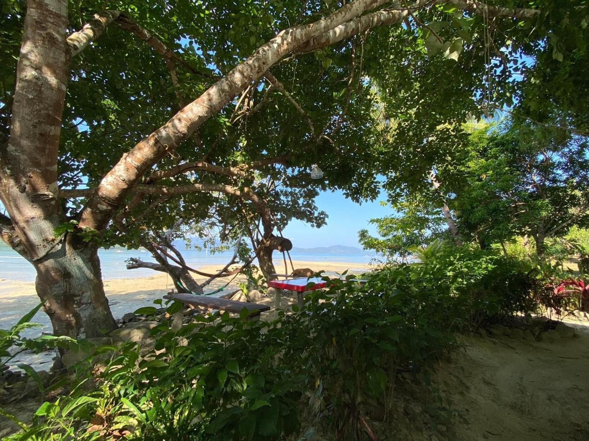 Port Barton - Paradiso Azul Campsite Beachfront With Internet San Vicente  Exterior foto
