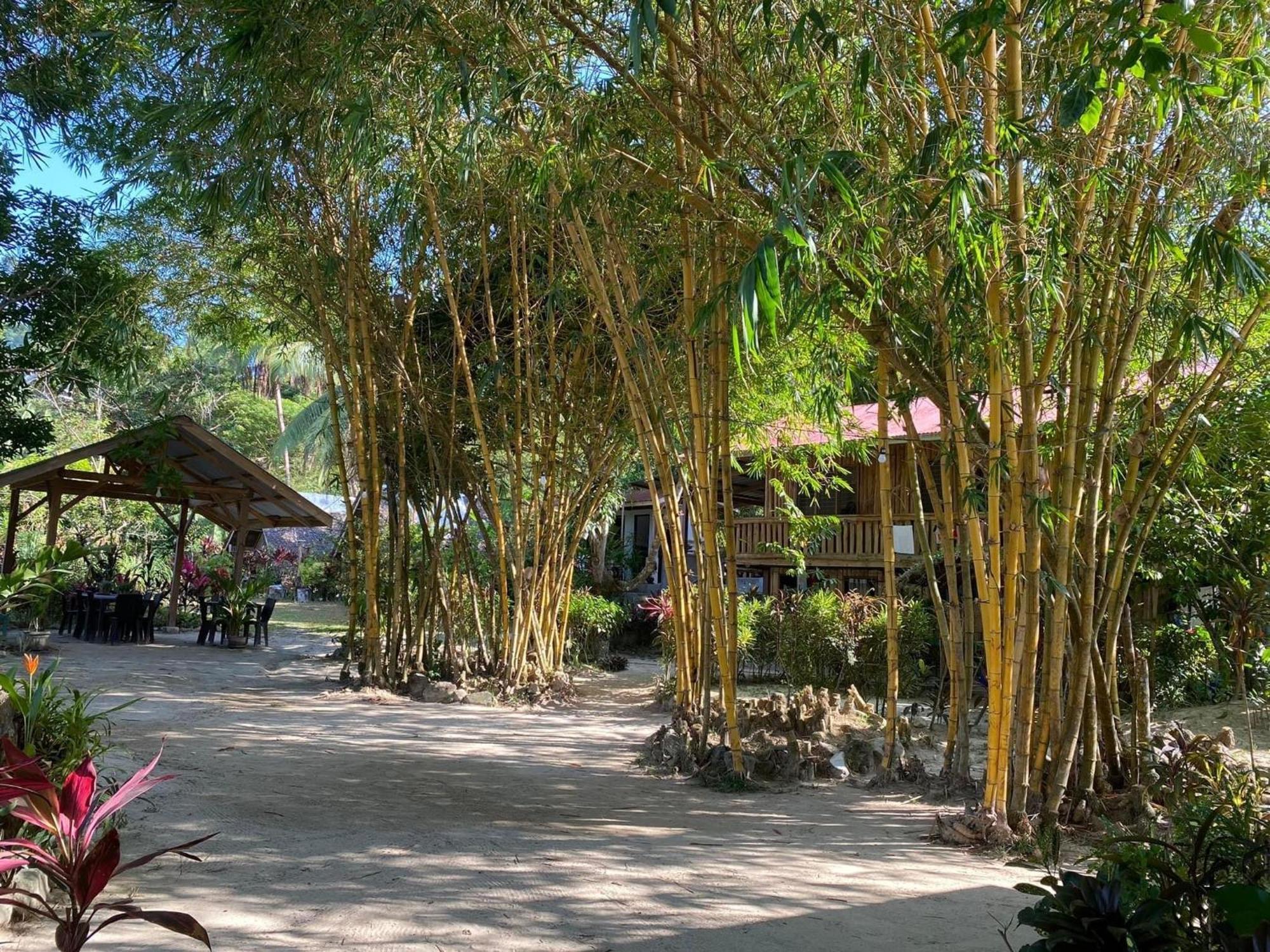 Port Barton - Paradiso Azul Campsite Beachfront With Internet San Vicente  Exterior foto